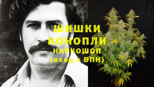 крисы Гусиноозёрск